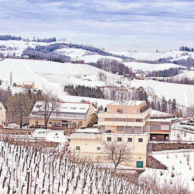 Wunderschöne Winterlandschaft an der Weinstarsse