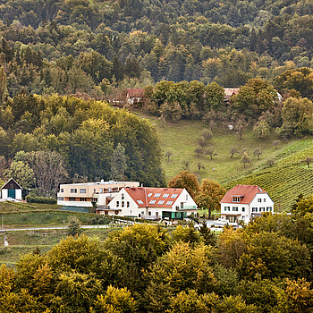 Herbst am Gut Pössnitzberg im Weinland