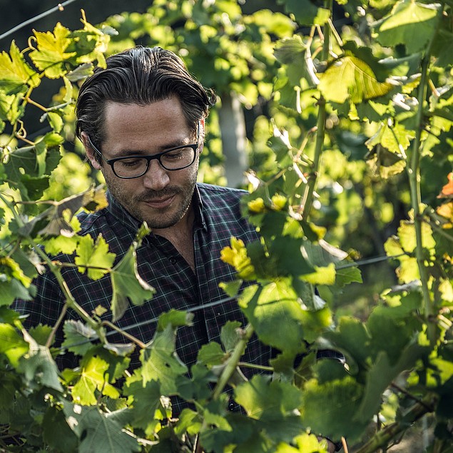 Weinpartner Hannes Sabathi im Weingarten Kranachberg