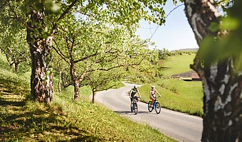 Aktivitäten, Buschenschank, Wanderungen, Radfahren in der Südsteiermark