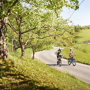 E-Bike Tour Radfahren Sport Südsteiermark