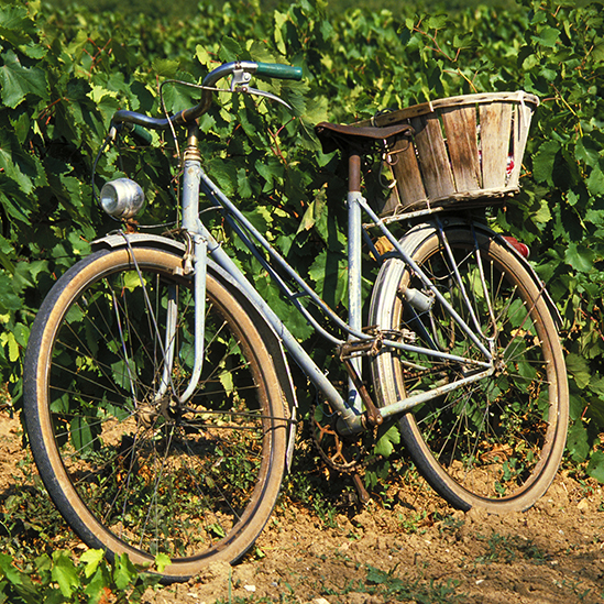 Fahrrad Steiermark Weinstraße